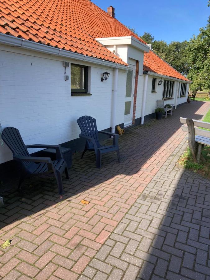 Bed En Breakfast Westerwolde Leilighet Sellingen Eksteriør bilde
