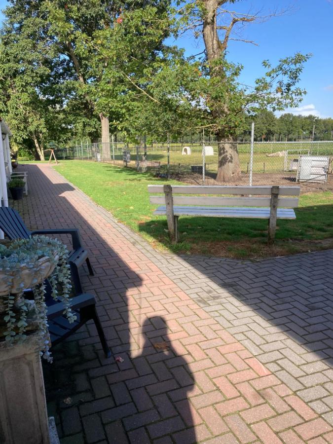 Bed En Breakfast Westerwolde Leilighet Sellingen Eksteriør bilde