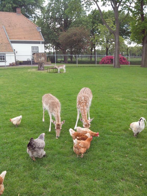 Bed En Breakfast Westerwolde Leilighet Sellingen Eksteriør bilde