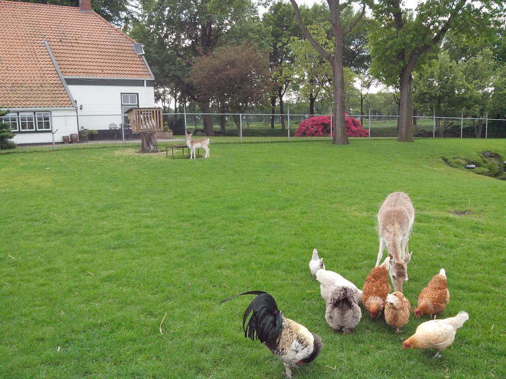 Bed En Breakfast Westerwolde Leilighet Sellingen Eksteriør bilde